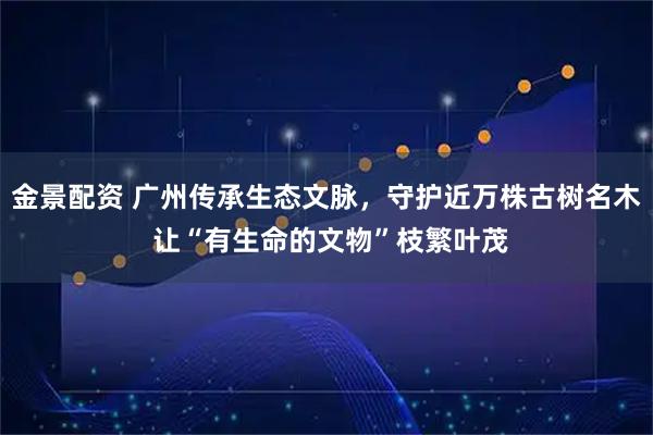 金景配资 广州传承生态文脉，守护近万株古树名木 让“有生命的文物”枝繁叶茂
