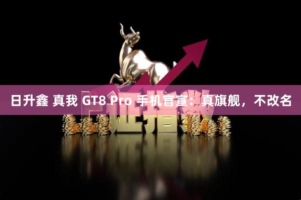 日升鑫 真我 GT8 Pro 手机官宣：真旗舰，不改名