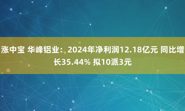 涨中宝 华峰铝业：2024年净利润12.18亿元 同比增长35.44% 拟10派3元
