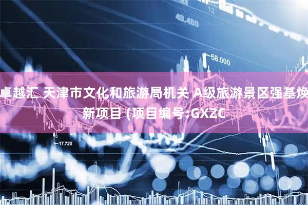 卓越汇 天津市文化和旅游局机关 A级旅游景区强基焕新项目 (项目编号:GXZC