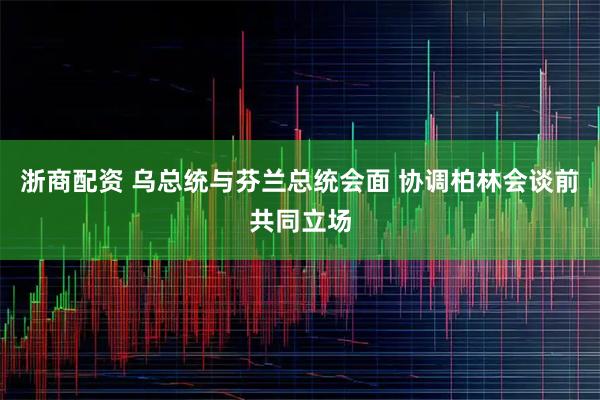 浙商配资 乌总统与芬兰总统会面 协调柏林会谈前共同立场