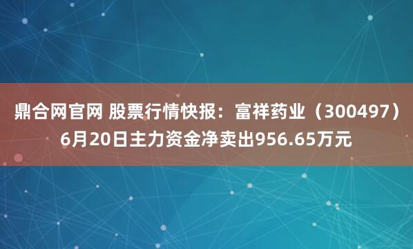 鼎合网官网 股票行情快报:富祥药业(300497)6月20日主力资金净卖出956.65万元