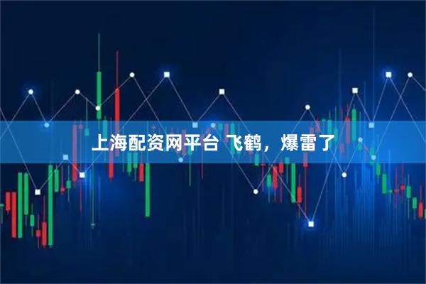 上海配资网平台 飞鹤,爆雷了