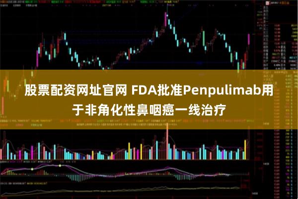 股票配资网址官网 FDA批准Penpulimab用于非角化性鼻咽癌一线治疗